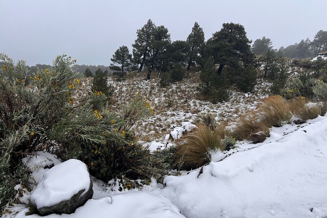 3 Hour Private Hike: Mountain Nevado Toluca from Mexico City - The crater day depends on conditions: how to think about the “weather gamble”