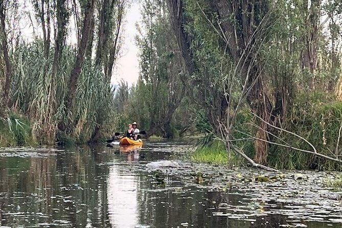3 Hours of Kayaking at the Ancient Canals of Xochimilco - Key highlights worth getting excited about