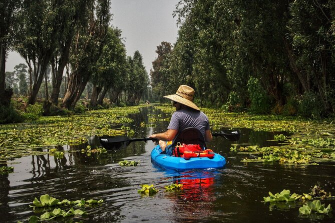 3 Hours of Kayaking at the Ancient Canals of Xochimilco - Wildlife Spotting You Can Actually See Close Up