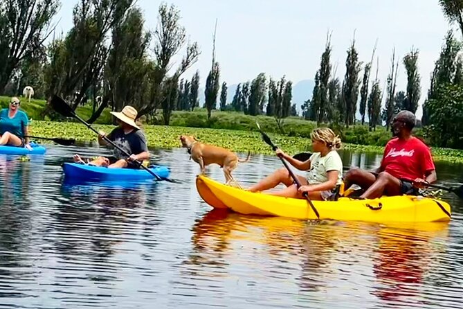 3 Hours of Kayaking at the Ancient Canals of Xochimilco - History and Current Affairs From Your Guide, Grant