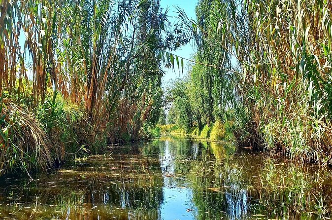 3 Hours of Kayaking at the Ancient Canals of Xochimilco - Group Size, Pace, and What the 3-Hour Trip Feels Like