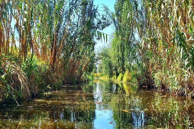 3 Hours of Kayaking at the Ancient Canals of Xochimilco - What to Bring for a Comfortable Early-Morning Kayak