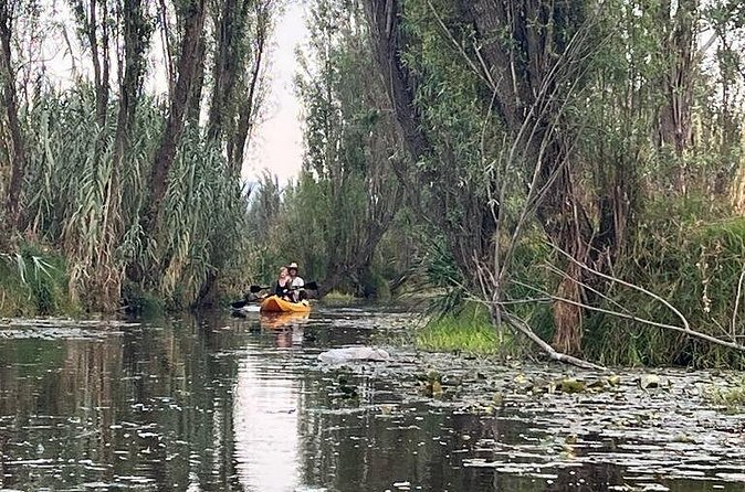 3 Hours of Kayaking at the Ancient Canals of Xochimilco - Who This Kayaking Tour Fits Best