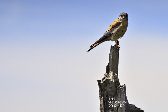 Ajusco Sunrise Hike with Drone photos-highest sunrise in CDMX - What’s included (and how it saves you money)