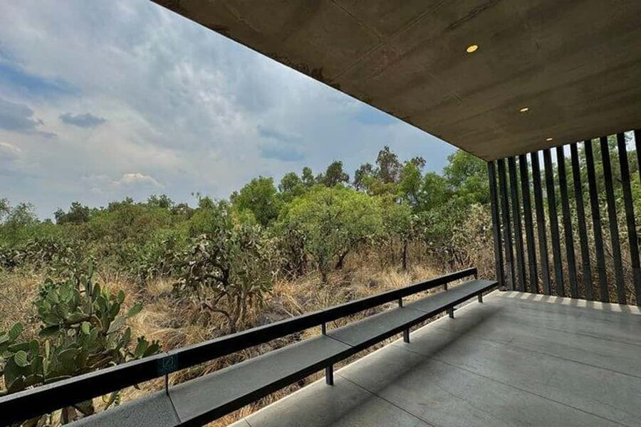 Anahuacalli Museum Guided Tour - Key points