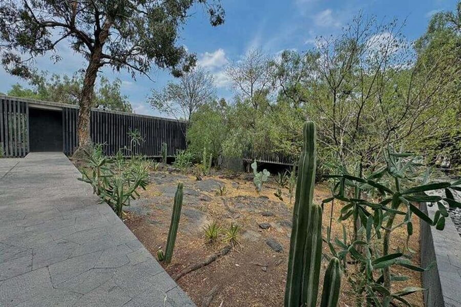 Anahuacalli Museum Guided Tour - How Long It Takes (and How to Plan Your Visit)