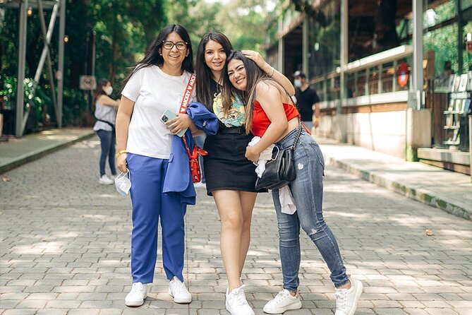 Anthropology Museum, Chapultepec Castle & Cable Car Tour - National Museum of Anthropology: plan your focus for Piedra del Sol and more