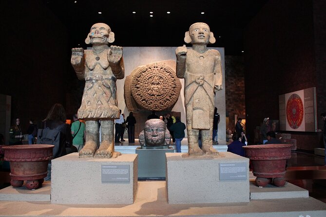 Anthropology Museum Early Access Tour - Who this tour suits best (and who might rethink it)
