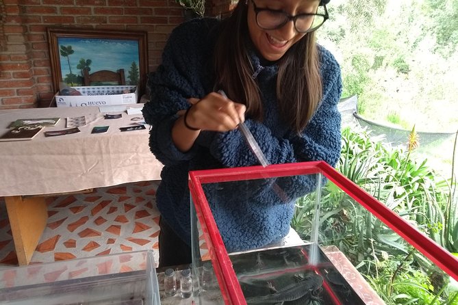 Axolotl Tour from CDMX - Who this axolotl tour from CDMX is best for