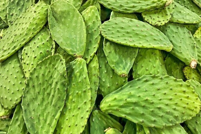 Best of Roma Sur Food Crawl in Mexico City - The Real Magic: Local Stories and the Roma Sur Detail You Don’t Get on a Map