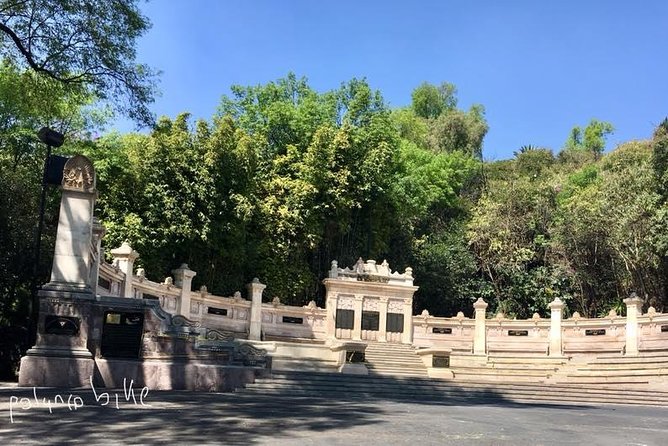 Bike Tour in Mexico City - Pacing and physical comfort for a 2–3 hour ride