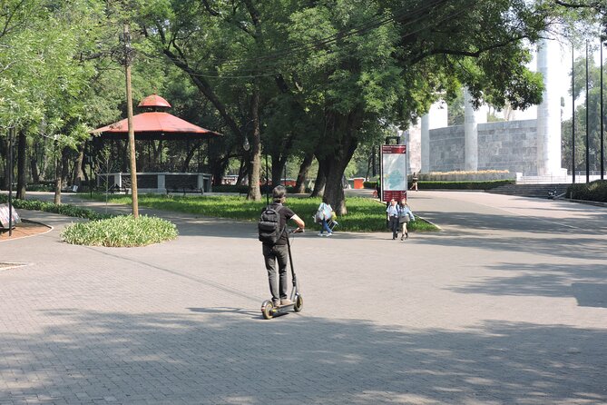 Bike tour in the Chapultepec Forest and Roma Condesa - Chapultepec Forest: trees, water, and a list of real park icons