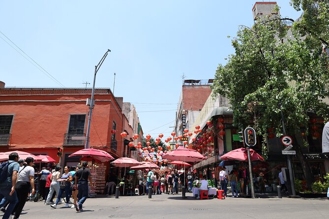 Bike Tour through Chapultepec, Reforma and the Zócalo / Mexico - From Roma Norte to your first minutes on the road