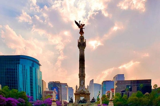 Bike Tour through Chapultepec, Reforma and the Zócalo / Mexico - Mercado de San Juan: insects, mezcal vibes, and shopping time