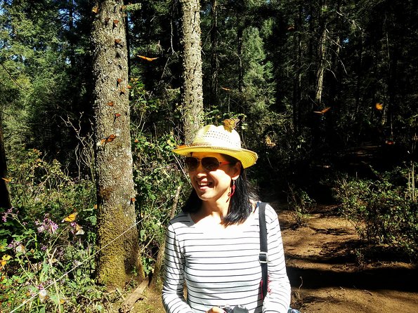 Butterfly Monarch Tour from Mexico City - Michoacán Lunch and Local Food: Where the Day Gets Comfortable