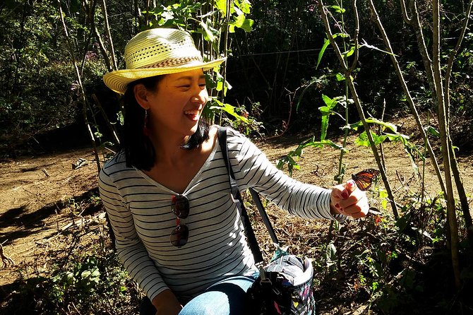 Butterfly Monarch Tour from Mexico City - Guides, Small Groups, and What English Explanations Look Like