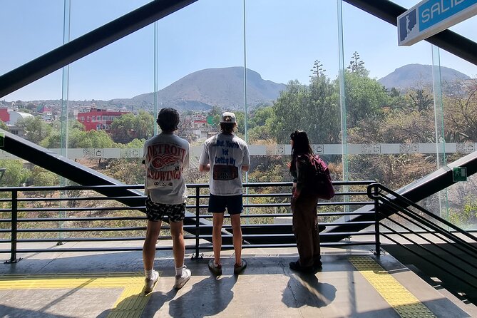 CableCar Experience: Off the Beaten Path Mexico City Walking Tour - The Cablebús: Panoramic Views and Street Art Overhead