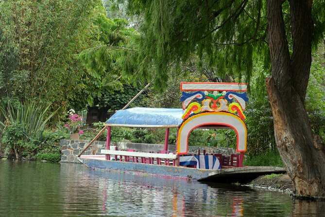 CDMX Enjoy a unique tour of Xochimilco and Coyoacán - Should you book this CDMX Enjoy a unique tour of Xochimilco and Coyoacán?