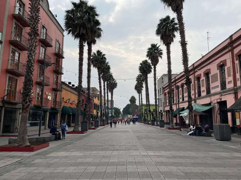 CDMX: Garibaldi Copa Show - A Night Drive With Panoramic Views (Historic CDMX, Up Close)