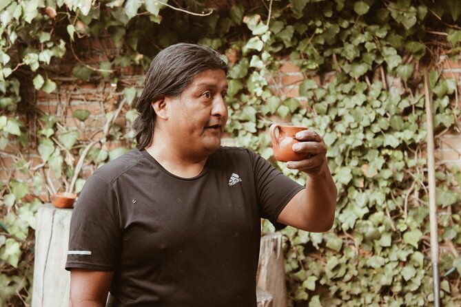 CDMX: TEMAZCAL Healing & cleansing ceremony ritual Zapoteca - Value check: what $108 buys you in real terms