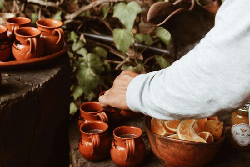 CDMX: TEMAZCAL Healing & cleansing ceremony ritual zapoteco - Medicinal garden energy: why the setting changes the whole day