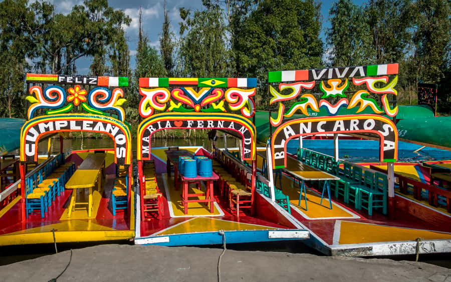 CDMX: Tour of Xochimilco and Coyoacán with option to visit the Frida Kahlo Museum - Key Things to Know