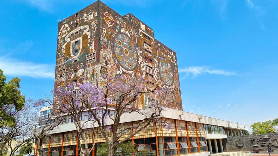 CDMX: Tour of Xochimilco and Coyoacán with option to visit the Frida Kahlo Museum - Morning Pickup and the Cooperative Craft Stop