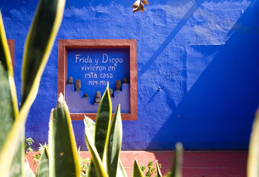 CDMX: Tour of Xochimilco and Coyoacán with option to visit the Frida Kahlo Museum - Frida Kahlo Museum Option: Casa Azul With a Digital Guide