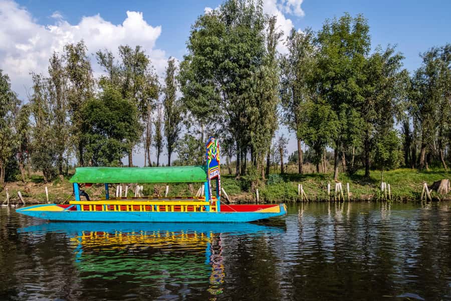 CDMX: Tour of Xochimilco and Coyoacán with option to visit the Frida Kahlo Museum - Guide Energy and Pace: How This Day Actually Feels