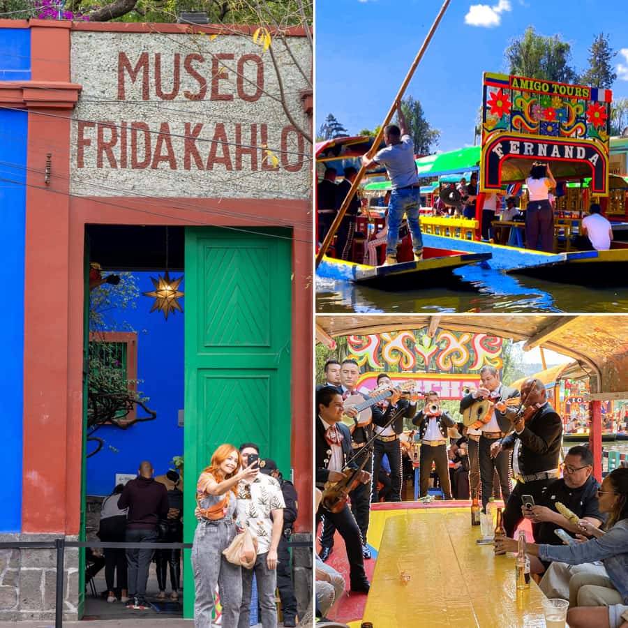 CDMX: Xochimilco, Coyoacan, Frida Kahlo Museum & Murals Tour - A long day that actually makes sense: Xochimilco, Coyoacán, UNAM, Casa Azul