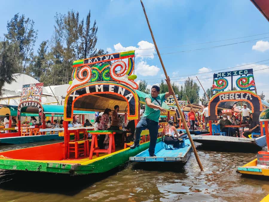 CDMX: Xochimilco, Coyoacan, Frida Kahlo Museum & Murals Tour - Coyoacán on cobblestones: a quieter neighborhood with strong Frida energy