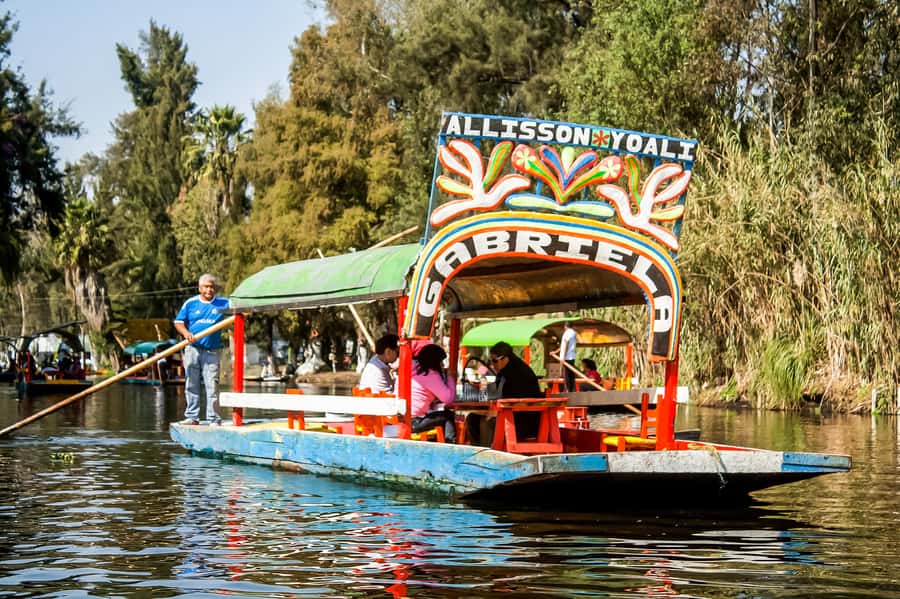 CDMX: Xochimilco, Coyoacan, Frida Kahlo Museum & Murals Tour - Lunch stop and how to plan your energy for Xochimilco