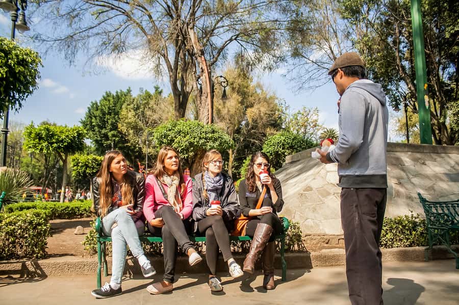 CDMX: Xochimilco, Coyoacan, Frida Kahlo Museum & Murals Tour - Price and value: why $89 can be a good deal for this mix