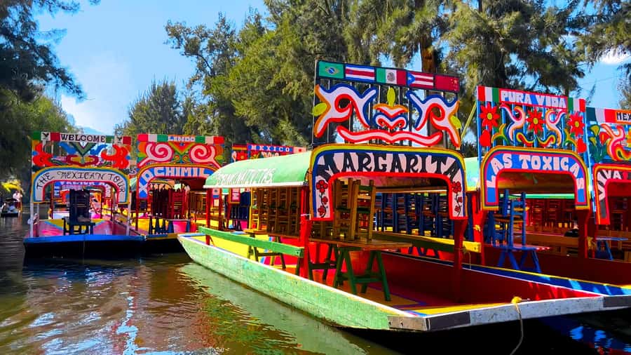 CDMX: Xochimilco Trajinera Party, Drinks, Mariachi & Tacos - Dancing, Mingling, and How the Host Keeps the Energy Up