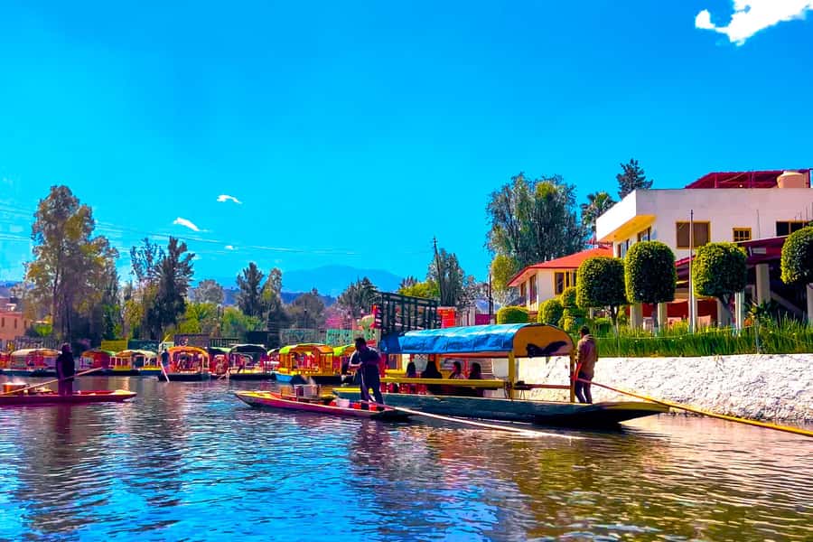 CDMX: Xochimilco Trajinera Party, Drinks, Mariachi & Tacos - Price and Value: Is $41 Worth It?