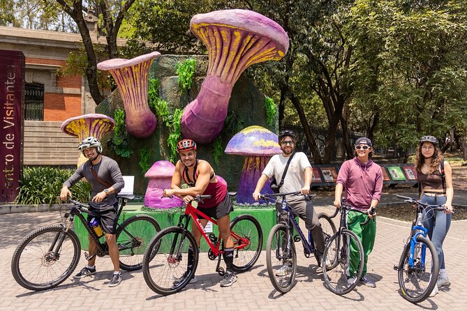 Chapultepec Castle or Anthropology Museum bike tour - Before you go: bike basics and fitness (keep it real)