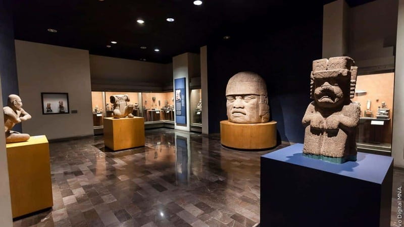 Chapultepec Museum: Plus Anthropology Museum Tour - Key things that make this tour worth your time