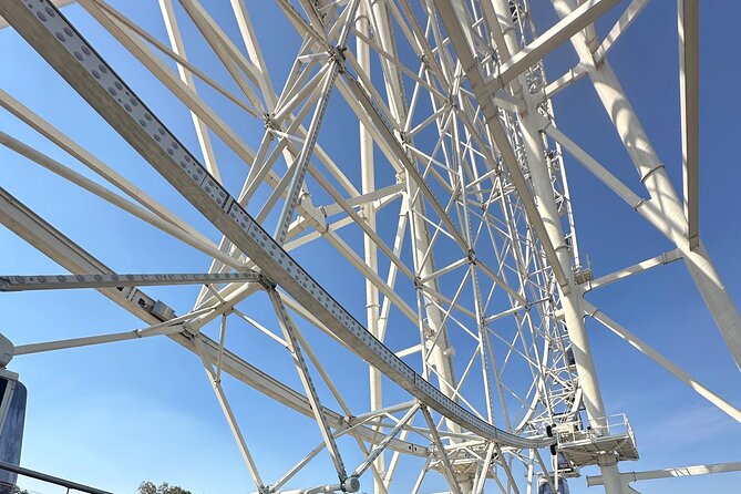Chapultepec Park and Ferris Wheel Bike Tour - The hanging garden crossing before Aztlán Park