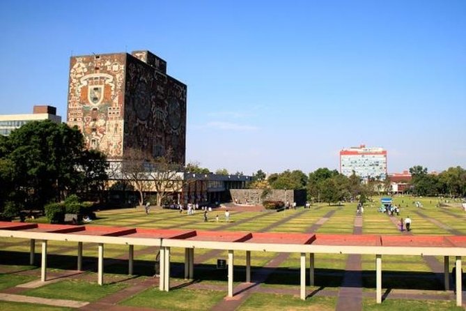 City Tour and Xochimilco Floating gardens - Coyoacán Walk: A Morning Mood (Coffee Ready) or an Evening Atmosphere
