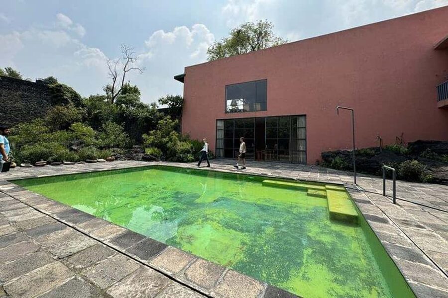 CMDX: Luis Barragan Legacy Exclusive Tour at Casa Pedregal - Language Options and Comfort Notes That Save You Hassle