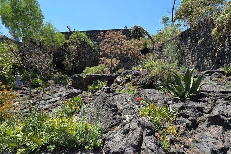 CMDX: Luis Barragan Legacy Exclusive Tour at Casa Pedregal - Food, Drinks, and What to Do Before and After