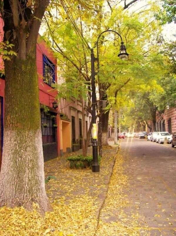 COYOACAN: FRIDA KAHLO STEPS IN COYOACAN AND SAN ANGEL CDMX - Casa Azul and the Frida footsteps around it: what you see when it’s outside only