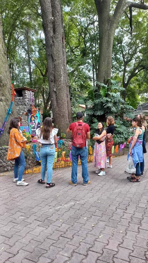 Coyoacan, history and life in a magical neighborhood - Quick take: why this Coyoacán tour works