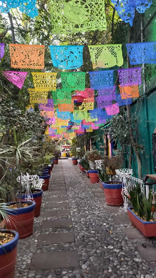 Coyoacan, history and life in a magical neighborhood - Entering Coyoacán: from El Olvidado to Santa Catarina Park