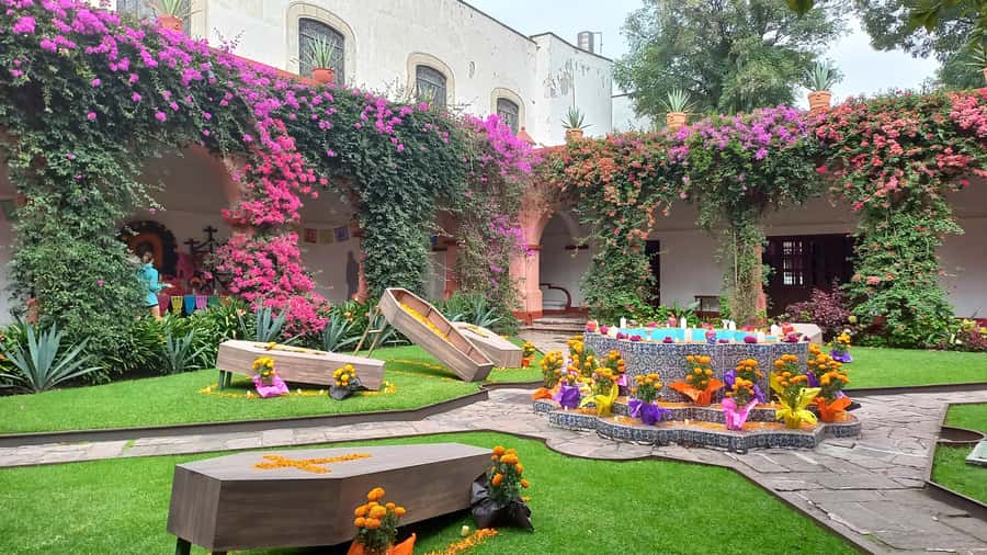 Coyoacan, history and life in a magical neighborhood - Churros at the main square: a break that feels like part of the tour
