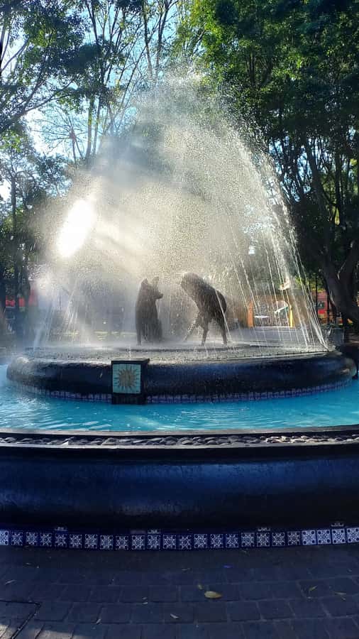 Coyoacan, history and life in a magical neighborhood - Mercado de Coyoacán: where food, crafts, and local energy meet