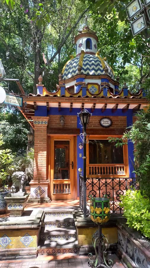 Coyoacan, history and life in a magical neighborhood - Walking time, pace, and what to bring (so you enjoy it more)