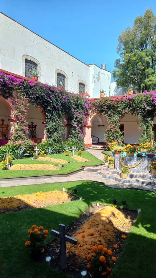 Coyoacan, history and life in a magical neighborhood - Hidden alleys south of Coyoacán: where the neighborhood feels lived-in