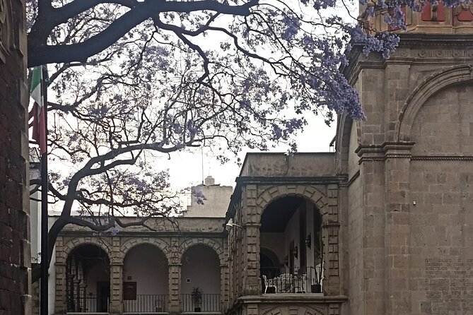 Curious and original Tour in the Historic Center of CDMX - Starting Where the Oratory Points You In