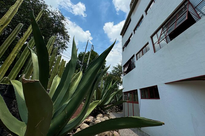 Diego Rivera Frida Kahlo Studio House Tour - Guides, English, and Group Size: Comfort Level on the Inside
